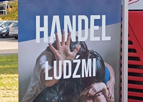 thumbnail_1729348663341