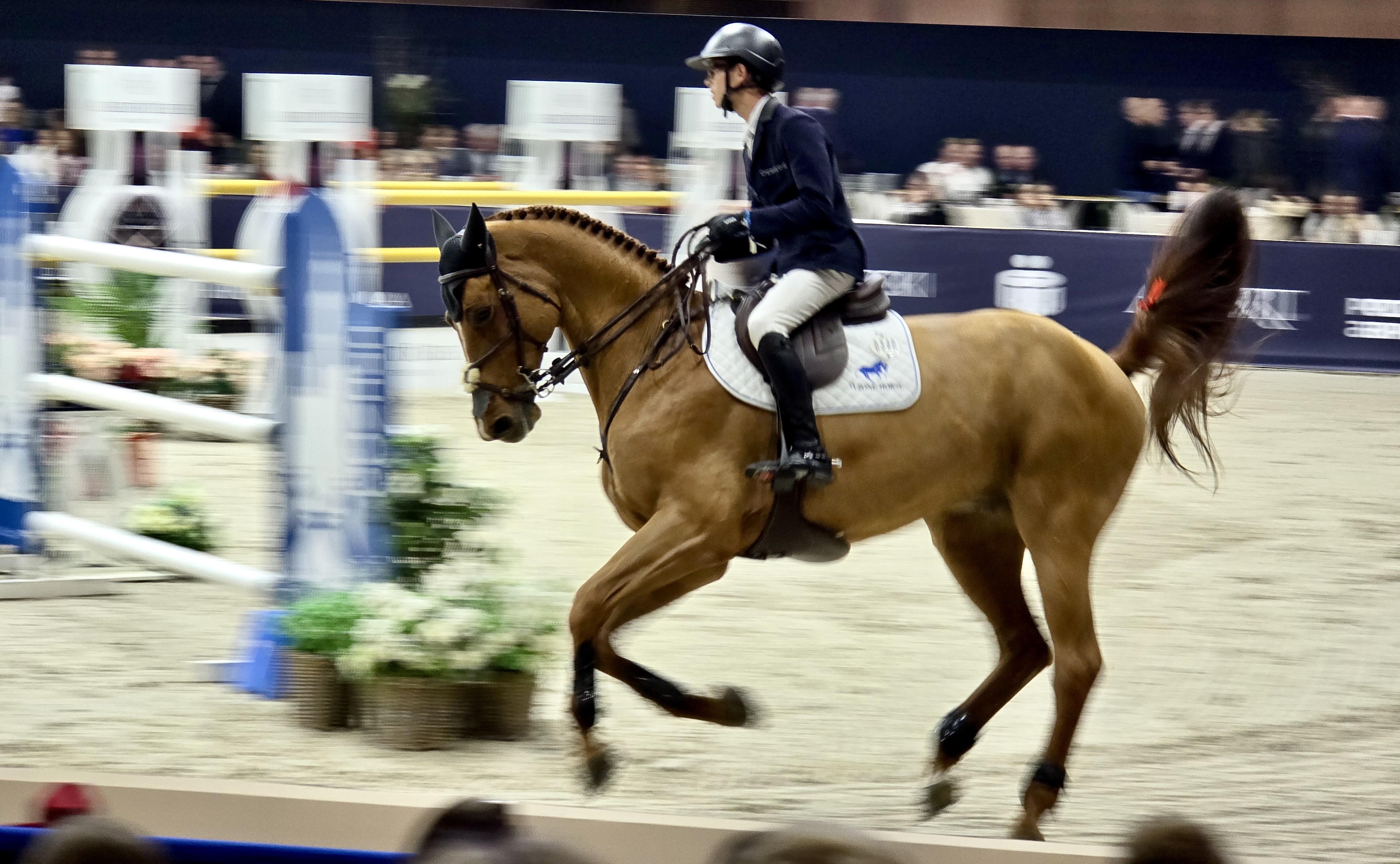 Szybkość, styl i precyzja. Harry Allen i CALCULATUS zwycięzcami PKO Bank Polski Grand Prix Poznania!